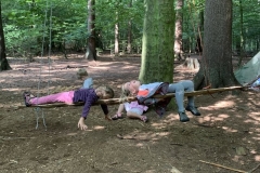 Waldis1_004