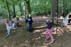 Waldis1_005