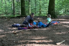 Waldis1_017