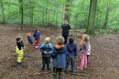 Waldis1_038