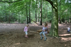 Waldis1_050