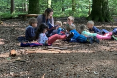 Waldis1_051