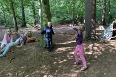 Waldis1_061