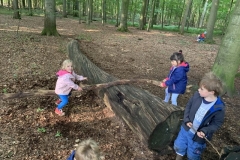 Waldis2_002