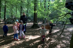 Waldis2_007