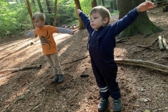 Waldis2_017