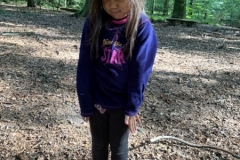 Waldis2_019
