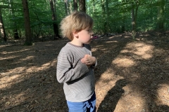Waldis2_022
