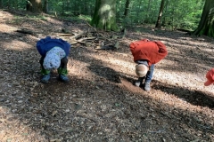 Waldis2_024