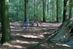 Waldis2_028