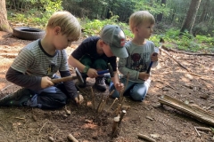 Waldis2_053