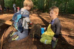 Waldis2_057