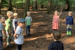 Waldis2_059
