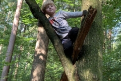 Waldis2_063