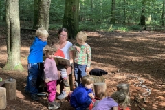 Waldis2_069