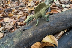 Zeitreise_Dinosaurier_052