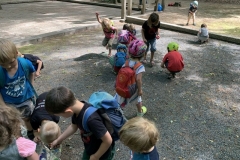 06_2020_Schuki_Wald_078