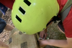 06_2020_Schuki_Wald_115