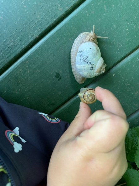 08_2020_Dies_und_Das_002