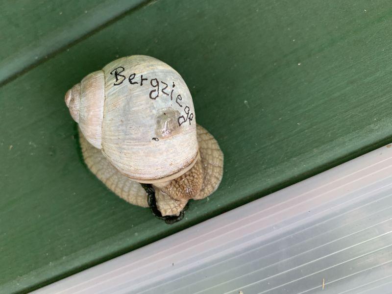 08_2020_Dies_und_Das_007