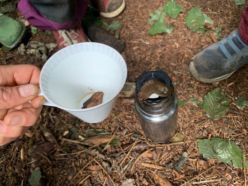 08_2020_Dies_und_Das_042