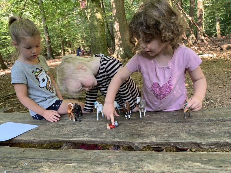 08_2020_Dies_und_Das_061