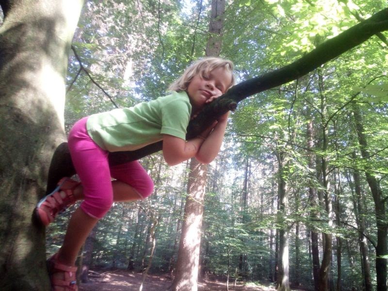 08_2020_Dies_und_Das_063