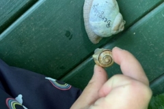 08_2020_Dies_und_Das_002