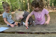 08_2020_Dies_und_Das_061