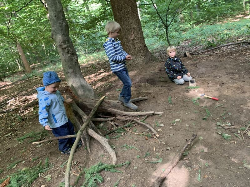 09_2020_gemeinsamer_Waldtag_009