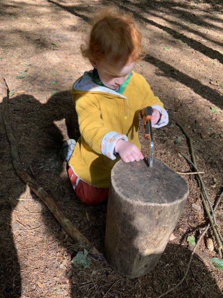 09_2020_gemeinsamer_Waldtag_016