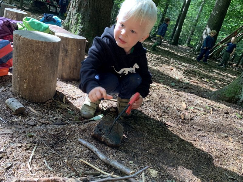 09_2020_gemeinsamer_Waldtag_017