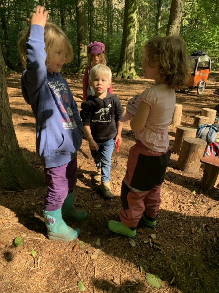 09_2020_gemeinsamer_Waldtag_021