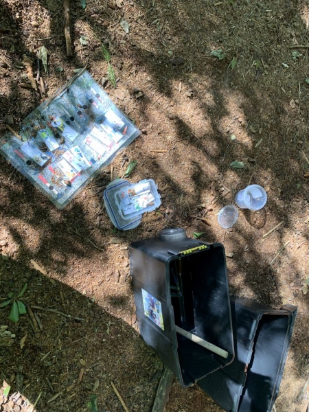 09_2020_gemeinsamer_Waldtag_030