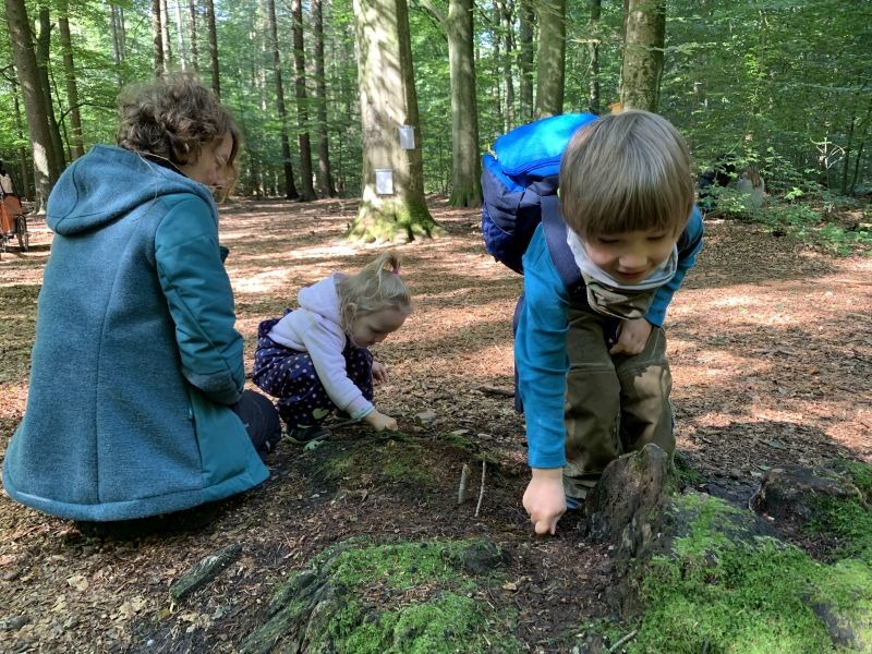 09_2020_gemeinsamer_Waldtag_031