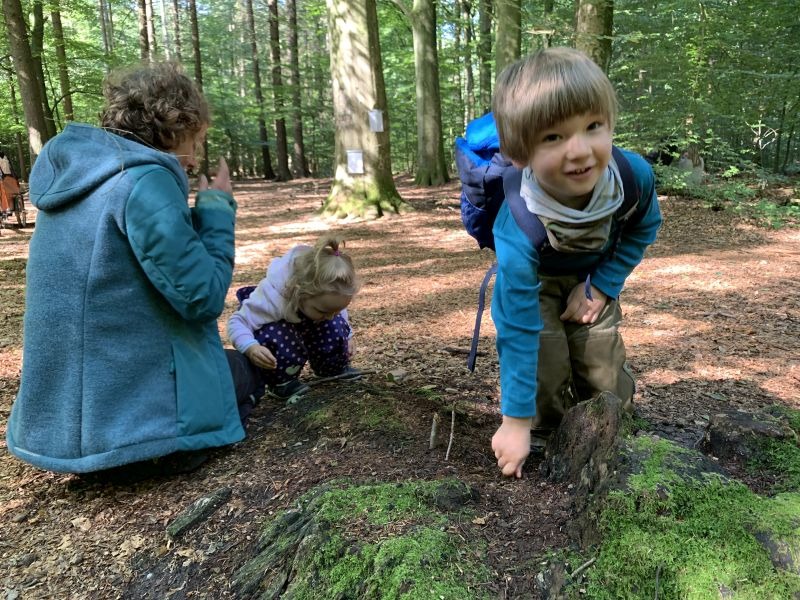 09_2020_gemeinsamer_Waldtag_032