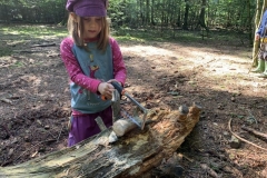 09_2020_gemeinsamer_Waldtag_023