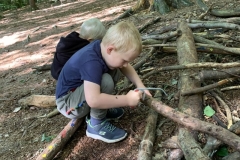09_2020_gemeinsamer_Waldtag_028