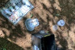 09_2020_gemeinsamer_Waldtag_030