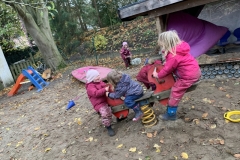 IMG_3248