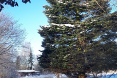 20210212_093110schneezauber