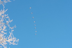 20210212_094023schneezauber